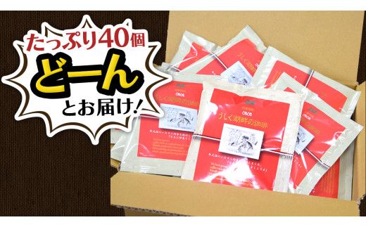 うしく湖畔の珈琲 ドリップパック 40個セット ドリップコーヒー ドリップ 大容量 大量 業務用 珈琲 たっぷり 小分け 自家焙煎 ブレンド おいしい 美味しい お取り寄せ セット 茨城 トムトム [BC011us]