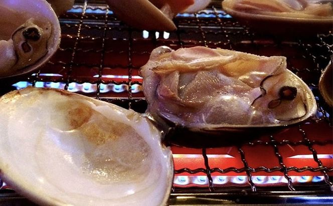はまぐり 千葉 九十九里産 天然はまぐり 3.5kg 貝 海鮮 海産物 海の幸 魚介 魚介類 水産 水産物 はまぐり鍋 バーベキュー BBQ お吸い物 国産 天然 ハマグリ 蛤 絶品九十九里の”味” 産地直送 冷蔵 冷蔵配送 千葉県 九十九里 九十九里町