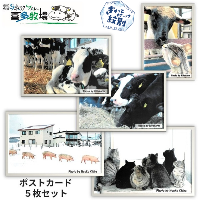 3-4 喜多牧場ポストカードセット