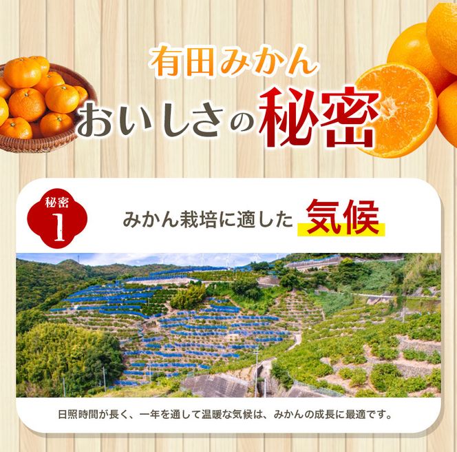 極 有田みかんプレミアム 約2kg【光センサー 高糖度選別品】2S～Lサイズ 有機質肥料100% ※2026年11月～2027年1月に順次発送予定 ※北海道・沖縄・離島への配送不可 【nuk154G】