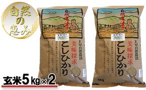 自然農法米こしひかり「自然の恵み」玄米5kg×2個《特別栽培米》 お米 コシヒカリ 特別農法 自然米 化学肥料ゼロ JAS有機栽培 安全なお米 