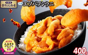 北海道登別近海産エゾバフンウニ（冷凍パック）400g ※6月以降順次配送