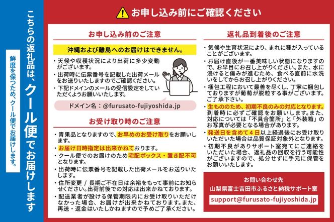 【2026年先行予約】山梨県産 シャインマスカット約1㎏（2～3房）  シャインマスカット ぶどう シャイン 山梨県産 フルーツ 果物 産地直送 数量限定 山梨 富士吉田 フルーツ 富士吉田市
