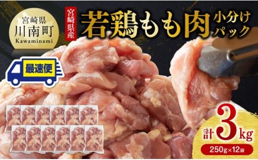 ※発送月が選べる※ 便利な小分けパック!宮崎県産 若鶏 もも肉 小分け パック 250g×12袋 計3.0kg [鶏 肉 鶏肉 国産 モモ 九州産 鳥 小分け 使いやすい 便利] [F0904]