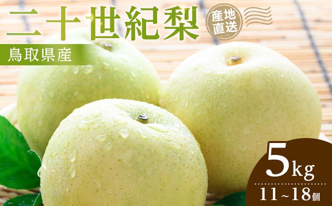 1281.【2026年9月発送】二十世紀梨　5ｋｇ 313726_CP003