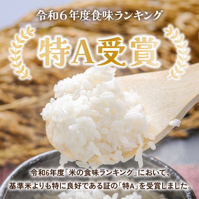 【新米予約】【12ヵ月定期便】令和8年産 ゆめぴりか 無洗米 5kg 北海道 留萌管内産 R004-241