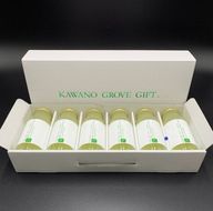 高知県 土佐市産 Konatsu Drink KD 20％ 160ml (6本入) 小夏ジュース ジュース 果物 フルーツ フルーツジュース お取り寄せ ドリンク 高知県 土佐市【川野果樹園】 [BQCB001]