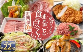 【3回分割発送】伊賀とよさ豚1/2まるごと食べ尽くし【cook-tkb0003】
