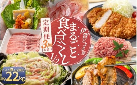 【3回分割発送】伊賀とよさ豚1/2まるごと食べ尽くし【cook-tkb0003】
