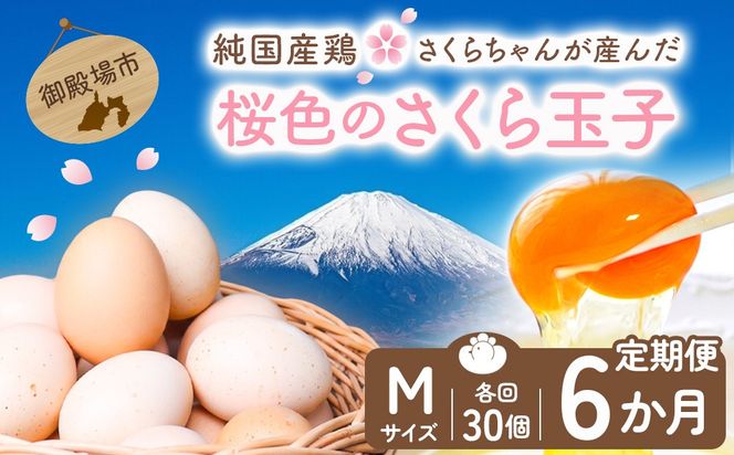 【定期便6ヵ月】純国産鶏さくらちゃんが産んだ桜色のさくら玉子 五分咲き（Mサイズ）30個 ｜ 卵 鶏卵 たまご タマゴ 生卵 たまごかけご飯 濃厚 甘み 国産