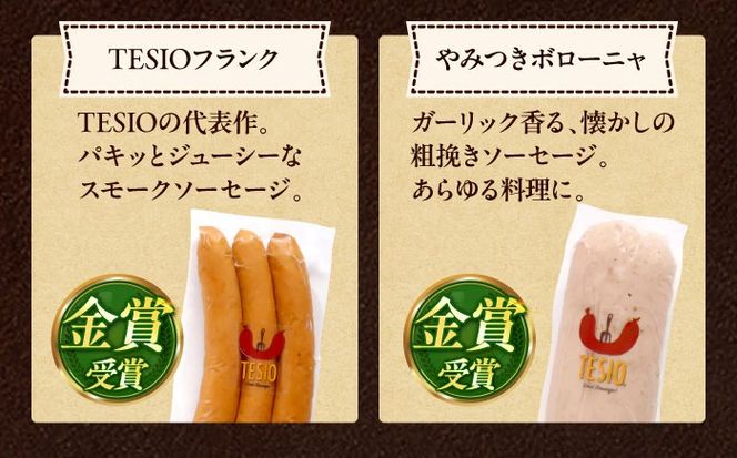 【ふるさと納税限定】TESIOの自家製フランク＆ボローニャセット (計380g) 豚肉 ハム ソーセージ 小分け 真空パック 沖縄市 / TESIO[BCAD005]