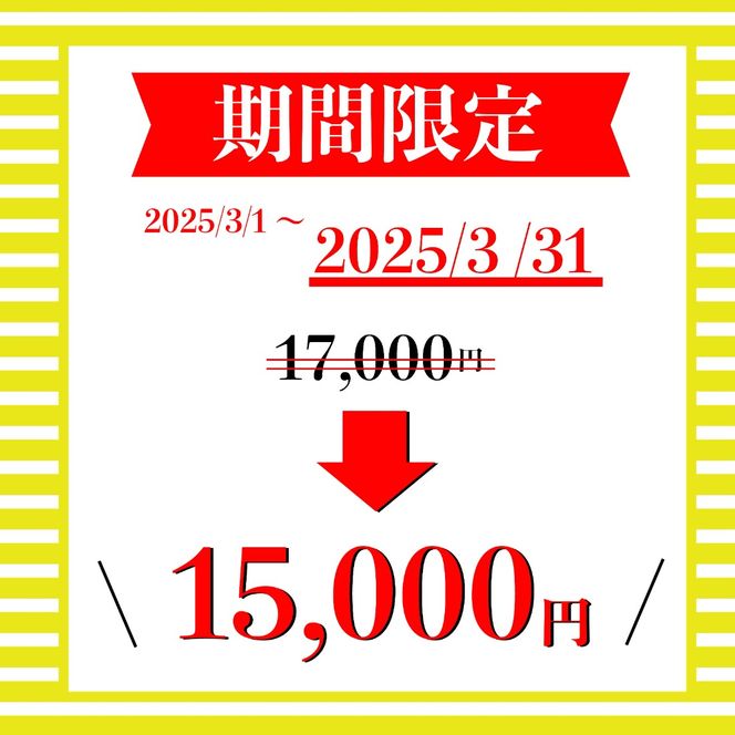 期間限定 TVで紹介! ジェラート 抹茶 世界一 濃い  8種 お茶 詰め合わせ セット ななや アイス クリーム ご褒美 デザート スイーツ お取り寄せ お菓子 ミシュラン 高級 茶葉 煎茶 禅 静岡茶 緑茶 ハイボール ノンアルコール シャーベット  （123299-X2-nanaya01）