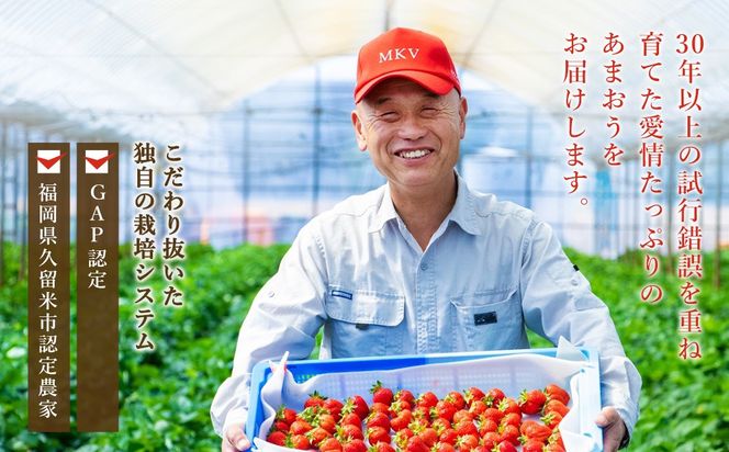 【2027年2月発送】【香春町 大容量 数量限定】 あまおう 約280g×6パック 計1680g いちご 苺 イチゴ ベリー 果物 フルーツ お取り寄せ デザート おやつ