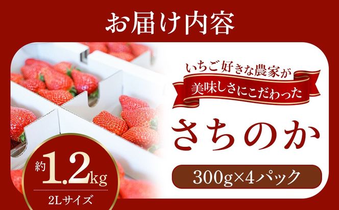 おいしさにこだわった いちご 苺 さちのか 300g × 4パック 合計 1.2kg 2L サイズ 江川農園 BM02