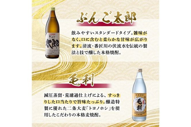 ＜定期便・全6回 (連続)＞大分麦焼酎飲み比べセット (900ml×4本×6回) 大分県産 国産 毛利 ぶんご太郎 さいき小町 むぎゅ ご当地 お取り寄せ 焼酎 麦 ハイボール 糖質ゼロ 20度 セット 4本 大分県 佐伯市【AN107】【ぶんご銘醸 (株)】