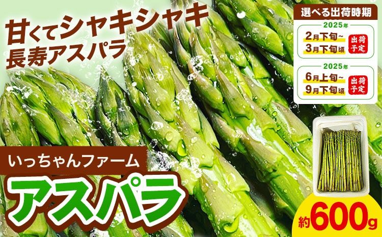 アスパラガス 約600g いっちゃんファーム[選べる出荷時期]熊本県 氷川町 氷川産 野菜 アスパラガス アスパラ---sh_cichnasp_24_p23_11000_600g---