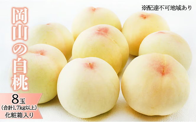 桃 2026年 先行予約 岡山 の 白桃 8玉（合計1.7kg以上）化粧箱入り もも モモ 岡山県産 国産 フルーツ 果物 ギフト デザート 上品な甘み とろける 産地直送 [№5735-1467]