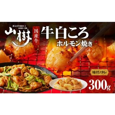 山樹の国産牛白ころホルモン焼き（丸腸）味付　300g [047R19]