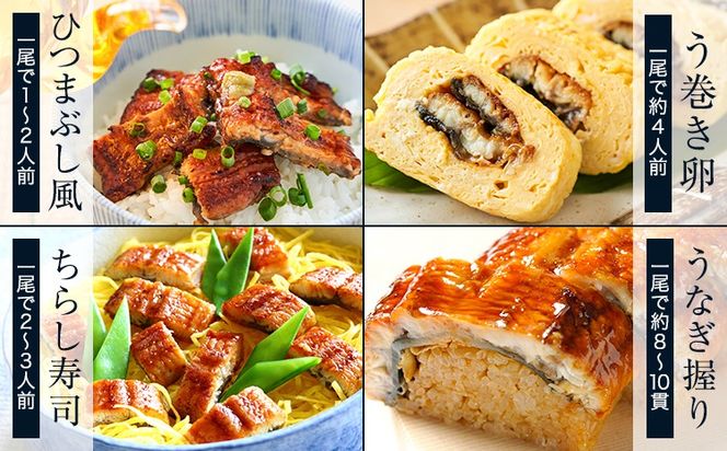 【12ヶ月定期便】うなぎ 大小 2尾  国産 鰻 真空パック おすすめ うなぎの蒲焼 《お申込み翌月から出荷》 ふるさとのうぜい 特上 簡易包装 ウナギ unagi 蒲焼 秋 冬 旬 配送時期 冷凍---mifune_lcl_1338_mo12---