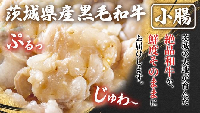 【茨城県産】 黒毛和牛 もつ鍋 焼肉用 小腸 1.2kg（200g×6パック） (茨城県共通返礼品) 国産 牛肉 肉 お肉 ホルモン もつ 焼肉