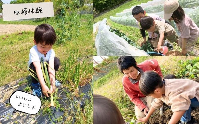 農園はなうた 農園デイキャンプ（収穫体験付き） 5名様まで hnut0002