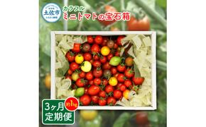 【先行予約】【全3回定期便】【先行予約】カラフルミニトマトの宝石箱 約1キロ 〈2026年12月から配送開始〉定期便3ヶ月 約1kg トマト とまと 詰め合わせ セット 15品種以上 野菜 料理 サラダ マリネ パスタ 浅漬け おやつ 弁当 甘味 酸味 高知県 土佐市【ファーム輝】 [BQBM008]