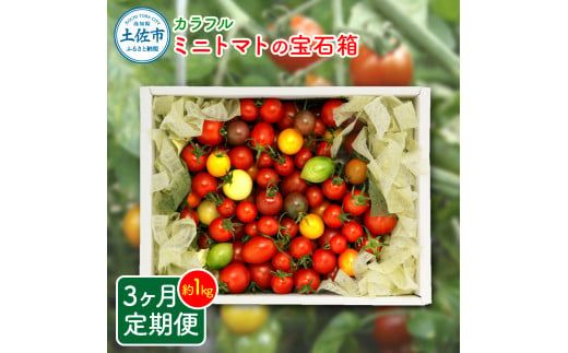 【先行予約】【全3回定期便】【先行予約】カラフルミニトマトの宝石箱 約1キロ 〈2026年12月から配送開始〉定期便3ヶ月 約1kg トマト とまと 詰め合わせ セット 15品種以上 野菜 料理 サラダ マリネ パスタ 浅漬け おやつ 弁当 甘味 酸味 高知県 土佐市【ファーム輝】 [BQBM008]