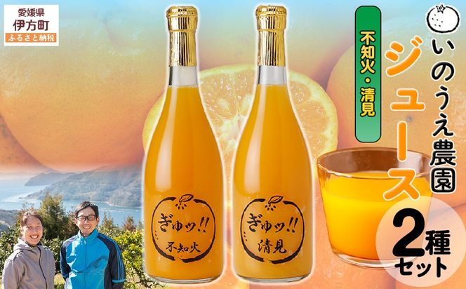 いのうえ農園 ジュース2種セット（不知火/清見）※離島への配送不可 IKTAI022