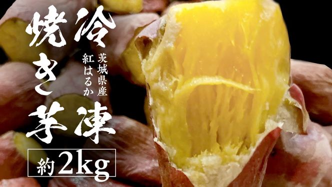 y錧΂݂炢szⓀĂ 2s y 錧Y g͂邩 z Ⓚ Ă ܂ fU[g  XC[c [DL22-NT]
