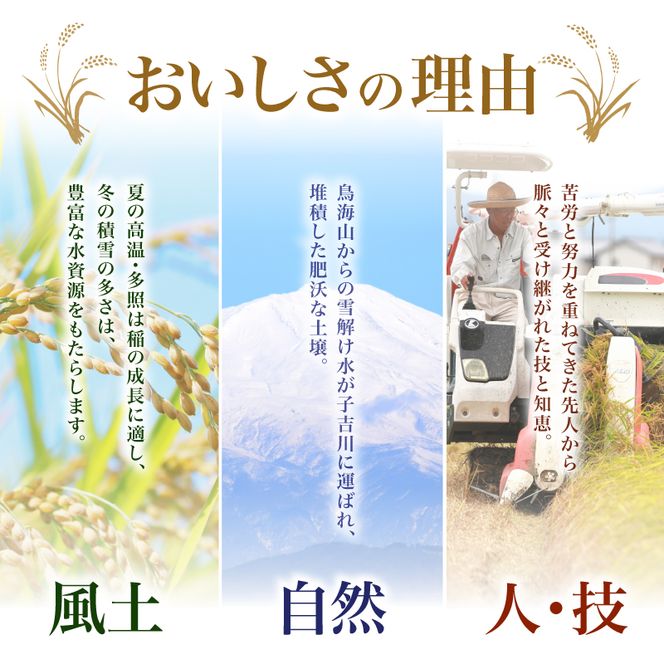 【ふるプレ限定品】【新米先行予約】【2026年10月以降順次発送予定】《定期便3ヵ月》ひとめぼれ 令和8年度産 精米5kg【精米 白米 米 コメ お米 おこめ ブランド米 ご飯 ごはん 秋田 にかほ】