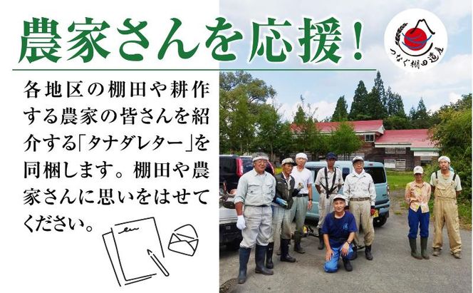 精米5kg　令和7年産新潟県十日町市魚沼産コシヒカリ「つなぐ棚田米」 米 こしひかり 精米 十日町市