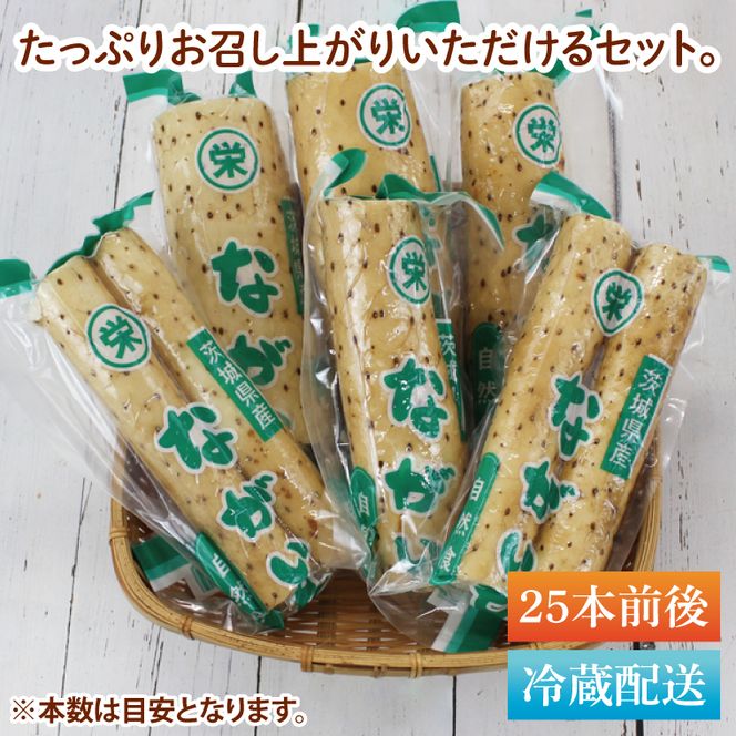 【2025年12月より順次発送】風間商店さんのながいも 約12kg(25本前後)｜ながいも いも 芋 長芋 野菜 やさい 人気 美容 健康 腸活 味噌汁 天ぷら 茨城県 行方市 行方市産(HO-3)