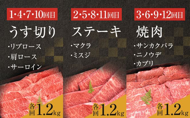 【牛肉 定期便 12回】 幻の相州黒毛和牛肩肉 1.2kg×12回 計14.4kg【相州黒毛和牛 相州牛 幻の牛肉 極上の旨味と風味 キメ細かな上質の脂 様々な料理に ブランド牛 ブランド牛肉 神奈川県 小田原市 】 142069_BL041