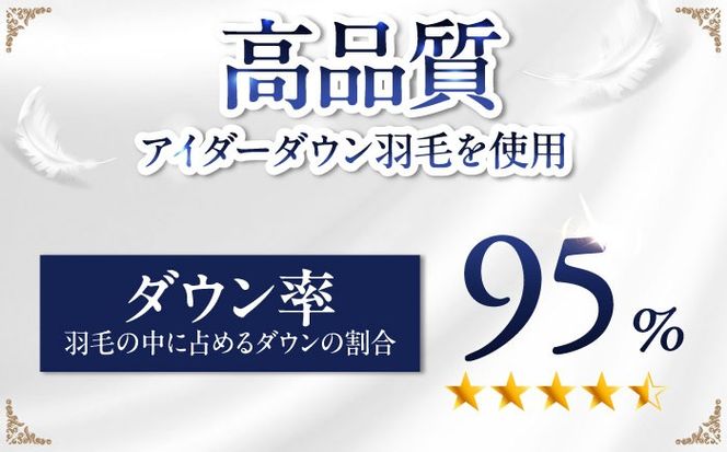 【糸島羽毛ふとん】【アイスランド特別保護鳥使用】【ダブル】 羽毛 布団 本掛け ベージュ アイダーダウン95% 糸島市 / 株式会社三樹 / 布団 羽毛[AYM025]