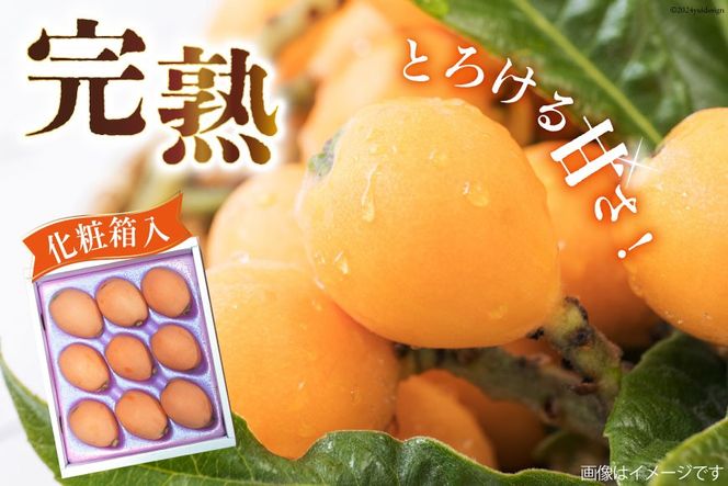 BI208 【令和9年度出荷分】訳あり 長崎 びわ 500g 温室ハウス栽培 長崎早生 [ フルーツ 枇杷 ビワ 果物 化粧箱入り 季節限定 99アイランドファーム 長崎県 島原市 ]