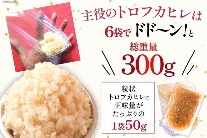 【粒々ふかひれの広東風トロかけごはん】200g×6袋 [鼎陽 宮城県 気仙沼市 20564718] 鱶鰭 ふかひれ フカヒレ 豪華 高級 贅沢 中華 中華料理 モウカザメ コラーゲン 広東 広東風 つぶつぶ 冷凍