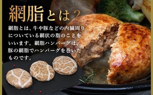 石垣島産 アグー豚（南ぬ豚）網脂 ハンバーグ ≪6個セット≫【 ハンバーグ石垣島産 国産 あぐー豚ハンバーグ 沖縄県 】(tokyoFMで紹介された「南ぬ豚(ぱいぬぶた)」です！♪) E-9-1