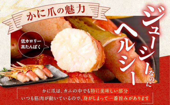 kgp0034 ボイル本ズワイ蟹爪肉 1kg カット済み 2Lサイズ（3-4人前）