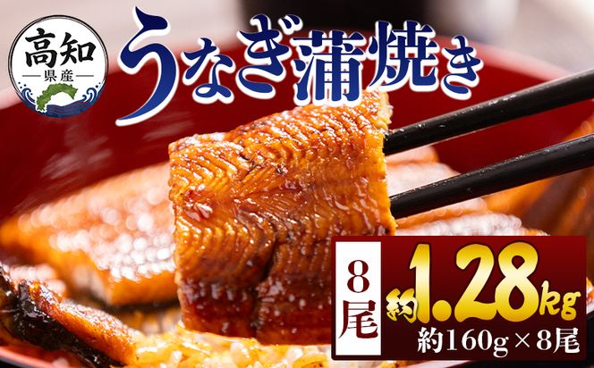 うなぎ 高知県産蒲焼きうなぎ １６０ｇ ８尾 計１２８０ｇ fb-0157