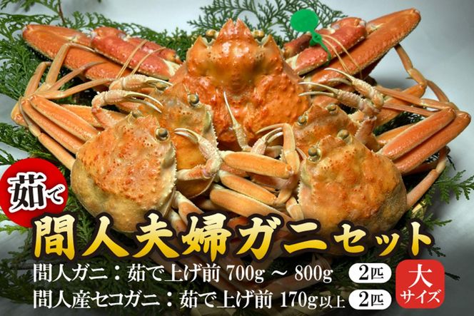 ys{OszԐl`l̊ۗFNOځE̊ԐlvwKjZbg䥂Ł[TCY]@MG00019