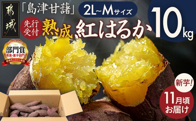 先行受付!【11月お届け】島津甘藷　熟成紅はるか 10kg(2L～M)_12-A7-001-10kg-11