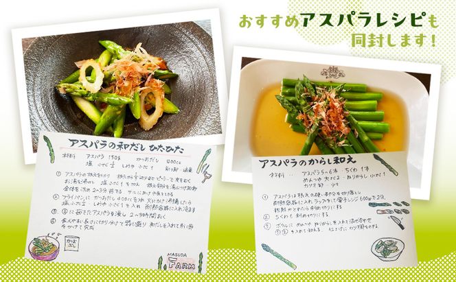 【数量限定・2026年4月初旬頃～発送】富良野 益田農園産 極太 グリーンアスパラガス ≪M～3L混合≫ 約500g アスパラ 北海道 富良野市 緑アスパラ 野菜 とれたて 朝採り 限定 数量限定 (益田農園)