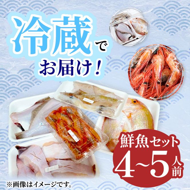 鮮魚 冷蔵 クール便「 開けたらすぐ食べられる下処理済み 海産物 4～5人前 セット 」さとう鮮魚店【 パック 詰め合わせ 海鮮セット 鮮魚ボックス 海鮮 海の幸 魚介 魚介類 刺身 切り身  秋田県 にかほ 】