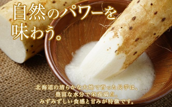 【 2026年 出荷 】 北海道 倶知安町産 長芋 2L×約6本 計5kg 春堀り 芋 ながいも とろろ 新鮮 フレッシュ 野菜 農作物 産直 山芋 麦とろ 山かけ おつまみ グリーンアースファーム 送料無料 北海道 倶知安町 新鮮野菜 