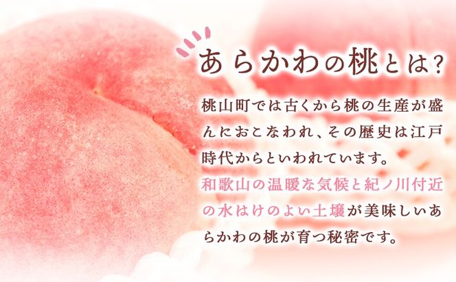 あら川の桃ジャム3本セット  株式会社 藤桃庵《90日以内に出荷予定(土日祝除く)》和歌山県 紀の川市---wsk_ttajam_90d_22_11000_3p---