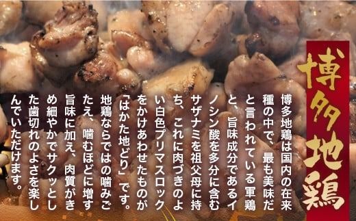 鶏肉 博多地鶏 スパイス焼き 900g モモ ムネ 各450g [対海食品（肉の駅KING） 福岡県 宇美町 um40azo690005] 鶏 鶏もも 鶏モモ 鶏むね 鶏ムネ 冷凍 小分け 個包装