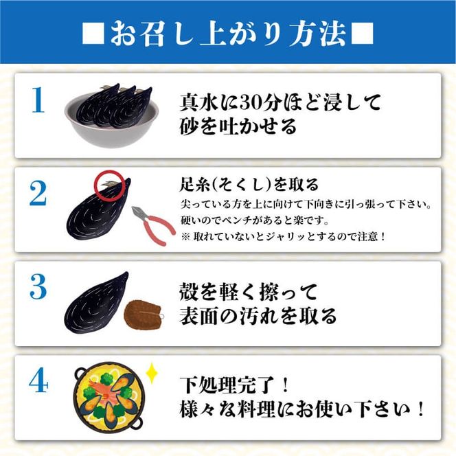【8月～12月発送】 国産 活ムール貝 1kg ムール貝 ムラサキ貝 殻付き 新鮮 産地直送 旬 三陸 岩手県 大船渡市 [nakano008]