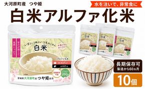 宮城県大河原町産つや姫のアルファ化米 白米 100g 10袋セット お米 長期保存 非常食 アルファ米 ご飯 ごはん 防災食 備蓄 保存食 常温 つや姫