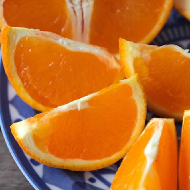 【先行予約】【濃厚】和歌山県有田産 清見オレンジ 約5kg（サイズおまかせ・混合）