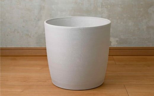 沖縄の観葉植物 人気のフィカス アルテシマ8号　シュエット鉢ポット